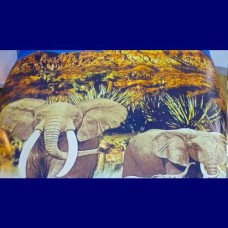 bedset  ELEPHANTS-Size: QUEEN